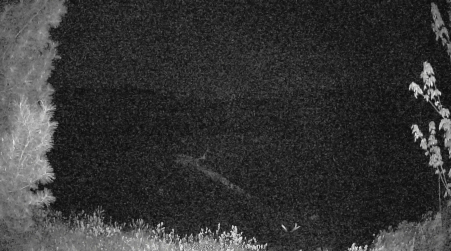 Image from 2025-05-22