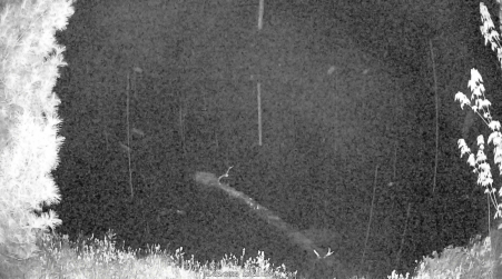 Image from 2025-05-23