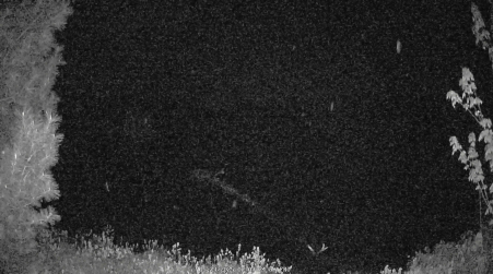 Image from 2025-05-23