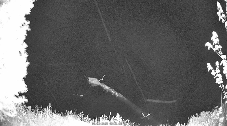 Image from 2025-05-23