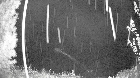 Image from 2025-05-23