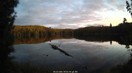 Image from 2025-05-23
