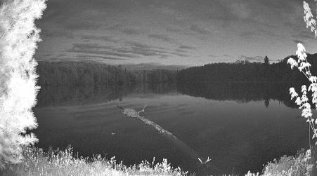 Image from 2025-05-23