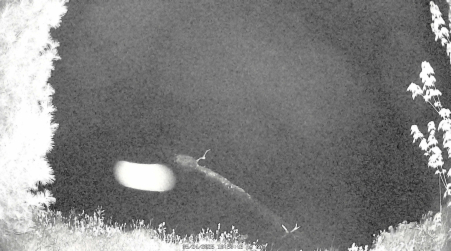 Image from 2025-05-24