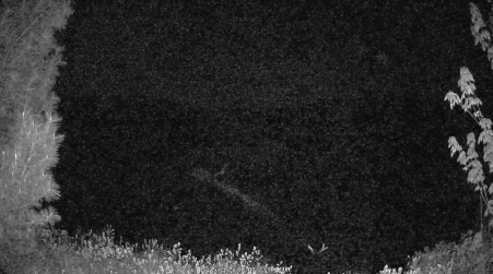 Image from 2025-05-25