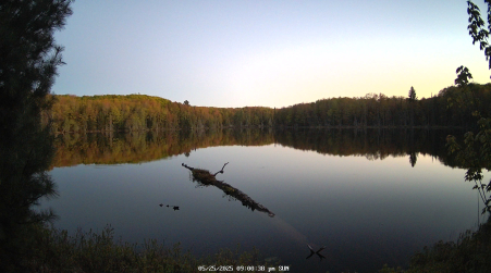 Image from 2025-05-25