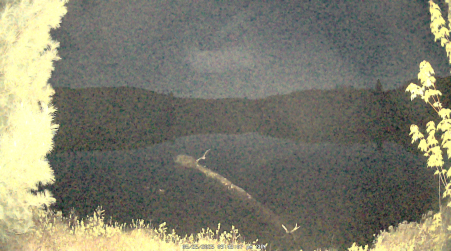 Image from 2025-05-25