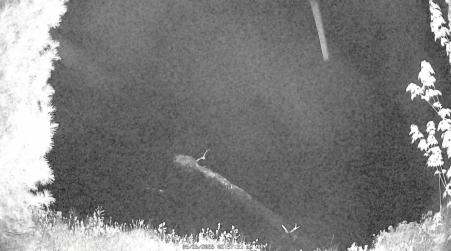 Image from 2025-05-26