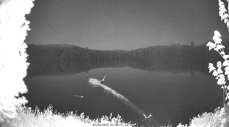 Image from 2025-05-26