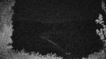Image from 2025-05-26