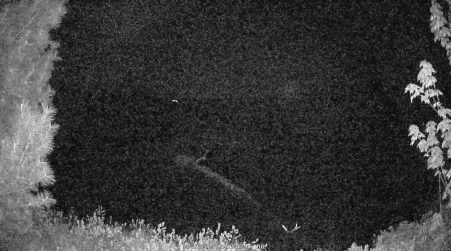 Image from 2025-05-27