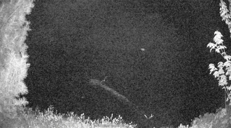 Image from 2025-05-27