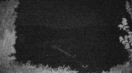Image from 2025-05-27