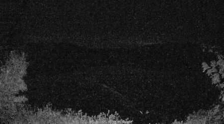 Image from 2025-05-28