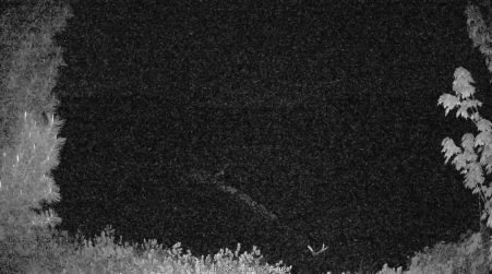 Image from 2025-05-28
