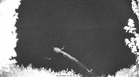 Image from 2025-05-29