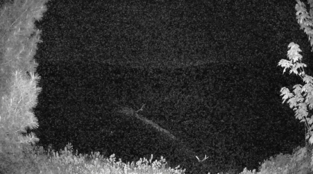 Image from 2025-05-29