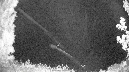 Image from 2025-05-29