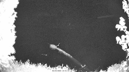 Image from 2025-05-29