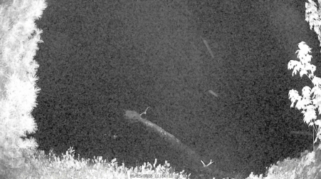 Image from 2025-05-29