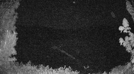 Image from 2025-05-30