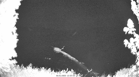 Image from 2025-05-31