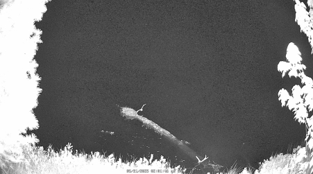 Image from 2025-05-31
