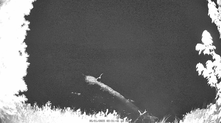Image from 2025-05-31
