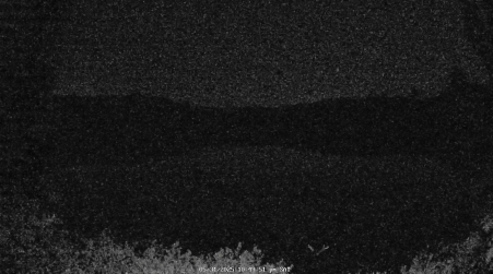 Image from 2025-05-31