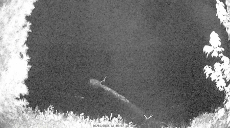 Image from 2025-06-01