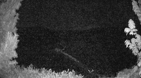 Image from 2025-06-01