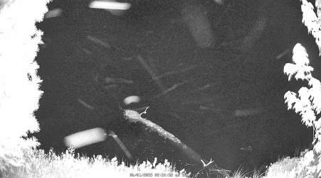 Image from 2025-06-01