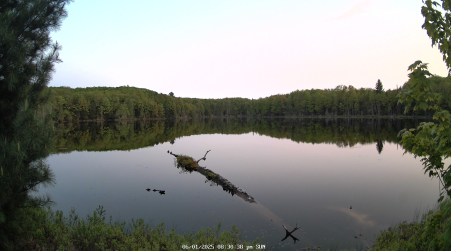 Image from 2025-06-01