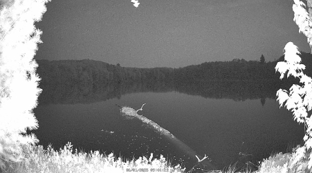 Image from 2025-06-01