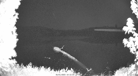 Image from 2025-06-01