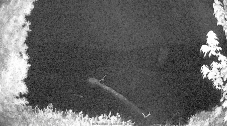 Image from 2025-06-01