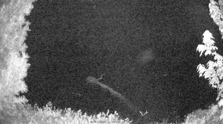 Image from 2025-06-01