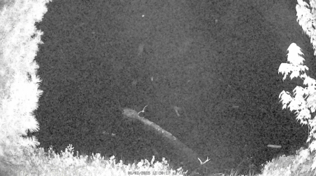 Image from 2025-06-02