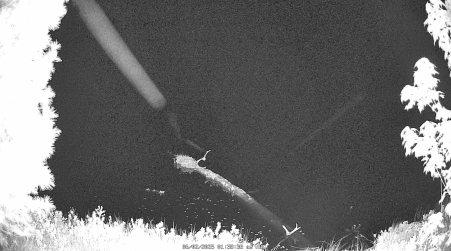 Image from 2025-06-02
