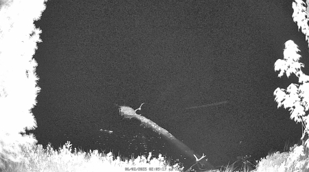 Image from 2025-06-02