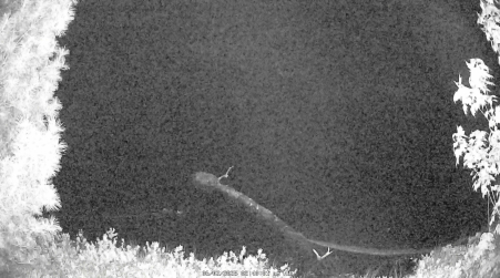 Image from 2025-06-02