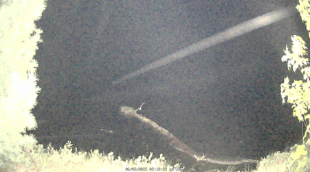 Image from 2025-06-02