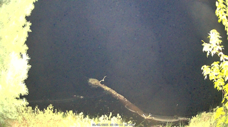 Image from 2025-06-02