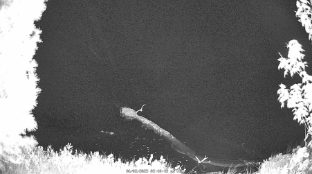 Image from 2025-06-02