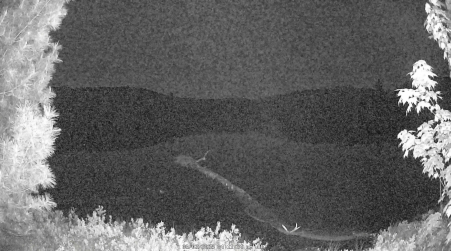 Image from 2025-06-02