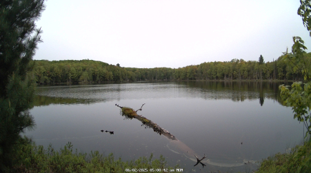 Image from 2025-06-02