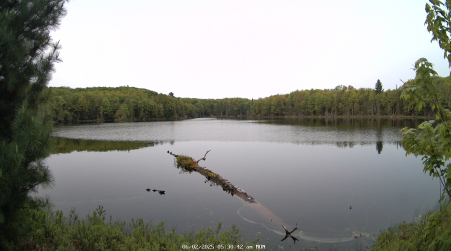 Image from 2025-06-02