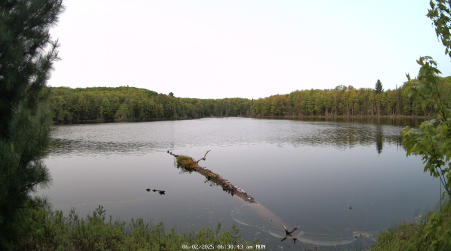 Image from 2025-06-02