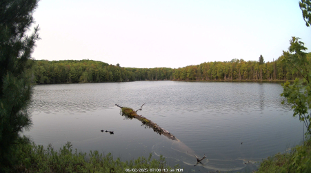 Image from 2025-06-02