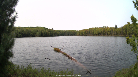 Image from 2025-06-02